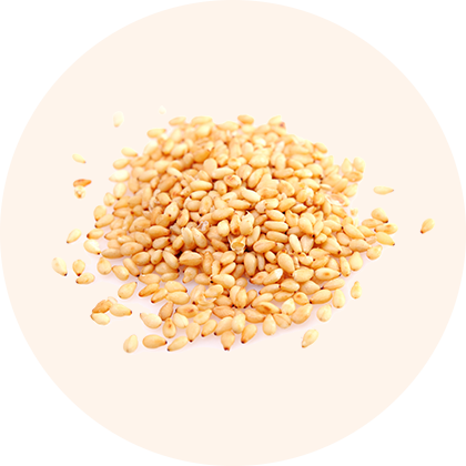 A pile of pale, oval-shaped seeds.