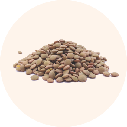 A pile of round, brownish seeds.