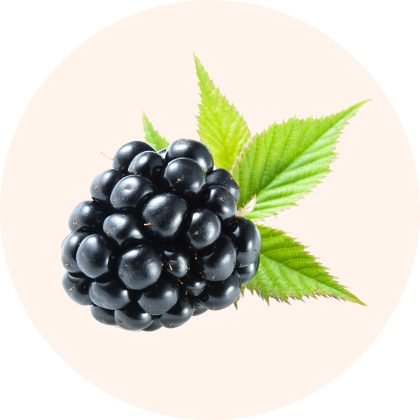 A ripe blackberry with green leaves.