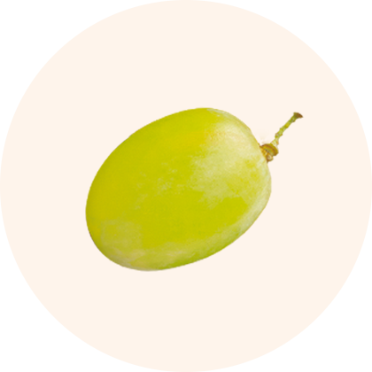 A green, oval-shaped fruit with a stem.