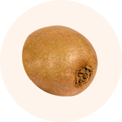 A brown, round fruit with a textured surface and a small, darkened area at the top.