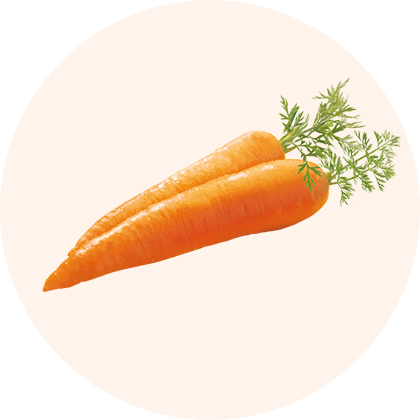 Two carrots with green tops.