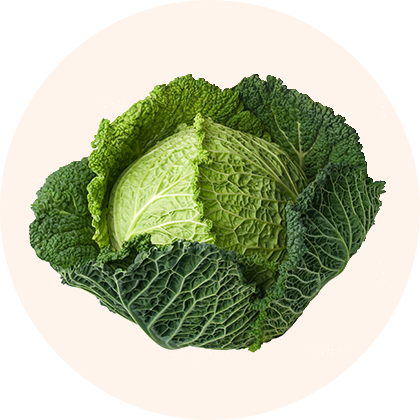 Cabbage.