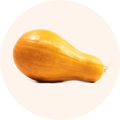 A butternut squash.
