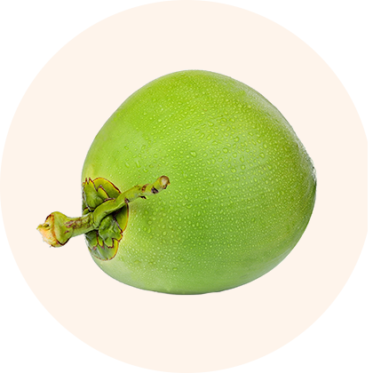 A green fruit with a stem and leafy top.
