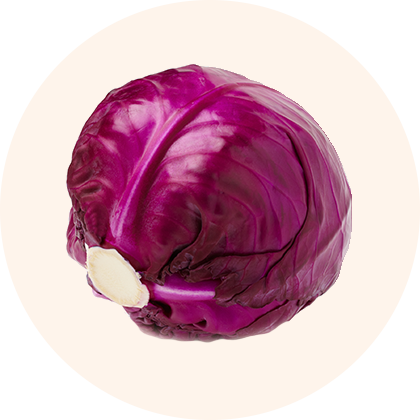 A head of red cabbage.