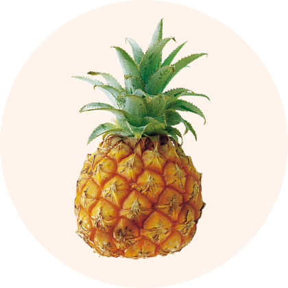 A ripe pineapple with a crown of green leaves.