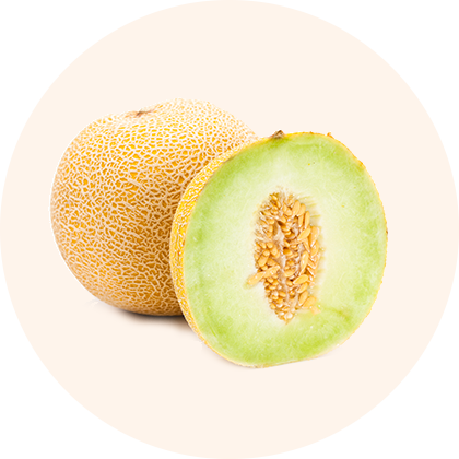 A whole cantaloupe and a half-cut cantaloupe are displayed.