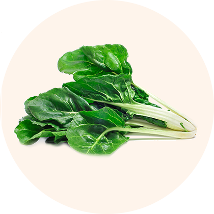 A bunch of fresh green leafy vegetables.