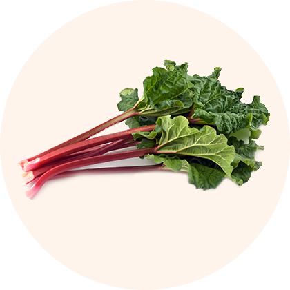 A bunch of green leaves and red stalks.