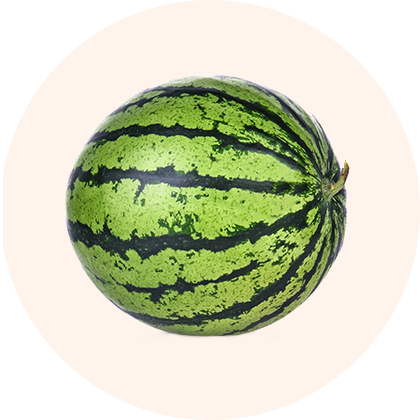 A ripe watermelon with a green and black striped rind.