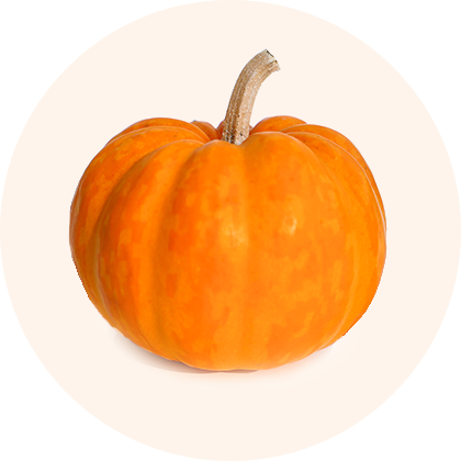 A pumpkin.